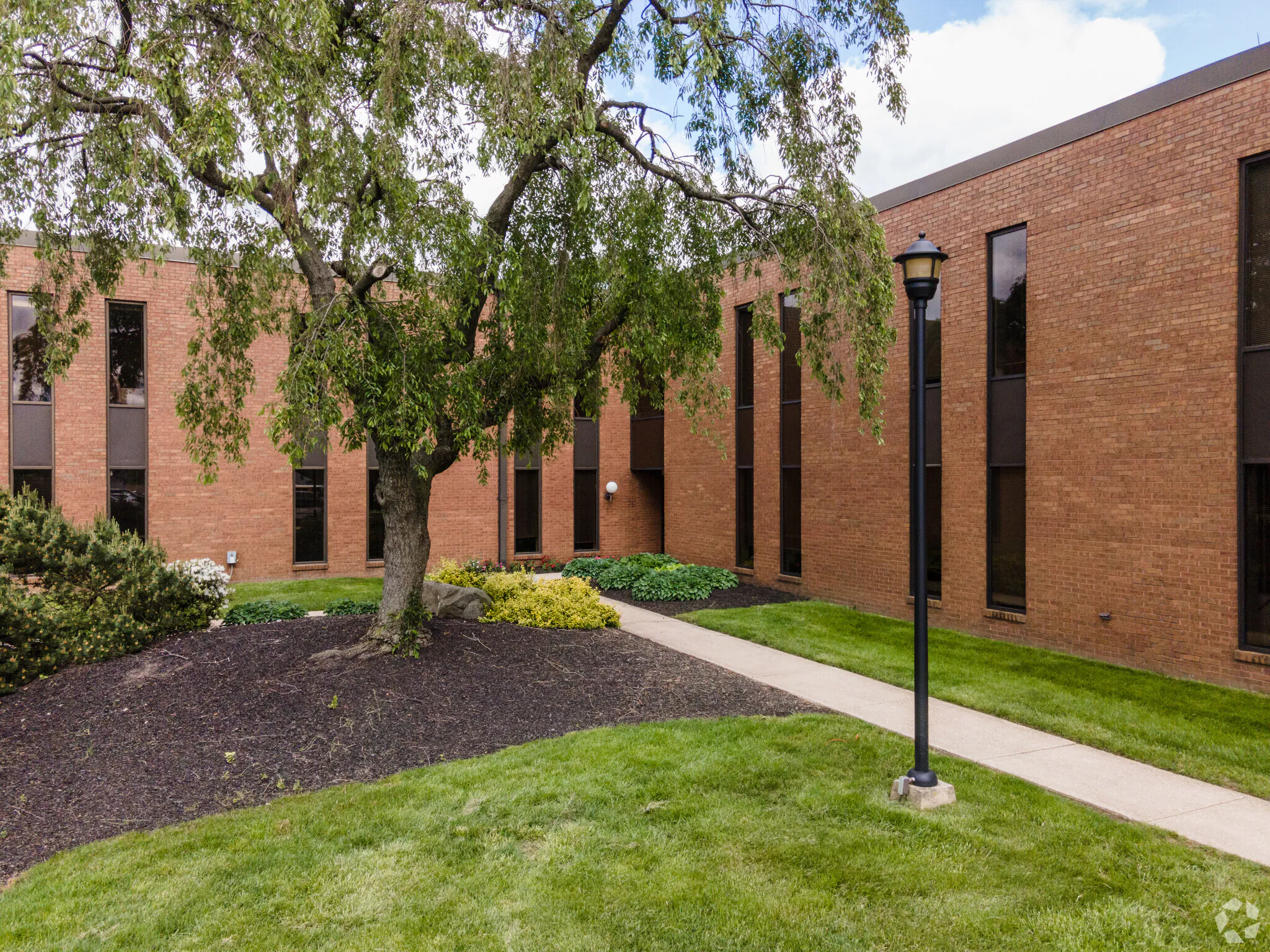 Tera Partners - IT Advisory & Managed IT Services - Technology Management Firm - TPI Office